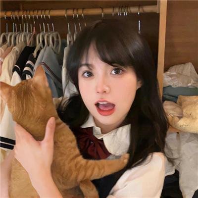 古德里奇